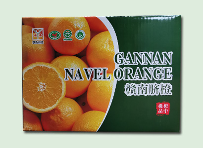 ĚȼS(chng)
